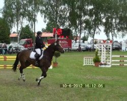 jumper Rajano 4 (Hanoverian, 2005, from Reccio L)