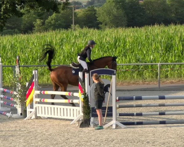 Reitturnier Ehningen 2022