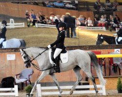 dressage horse Harmony N (German Riding Pony, 2012, from MPS Hugo Boss WE)