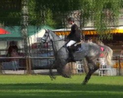 jumper Cartuna 3 (Oldenburg show jumper, 2006, from Cartogran)