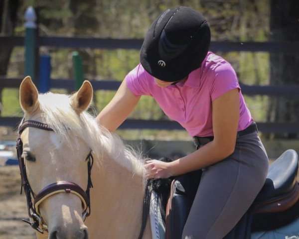 broodmare Dulcemente (German Riding Pony, 2017, from Dating At NRW)