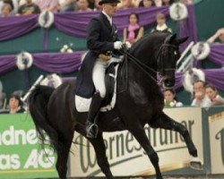 dressage horse Apollo van het Vijverhof (Belgian Warmblood, 2000, from Welt Hit II)