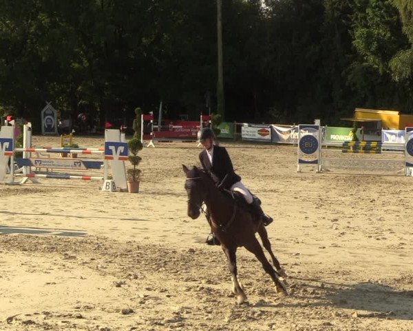 Reitturnier Vlotho-Exter 2022