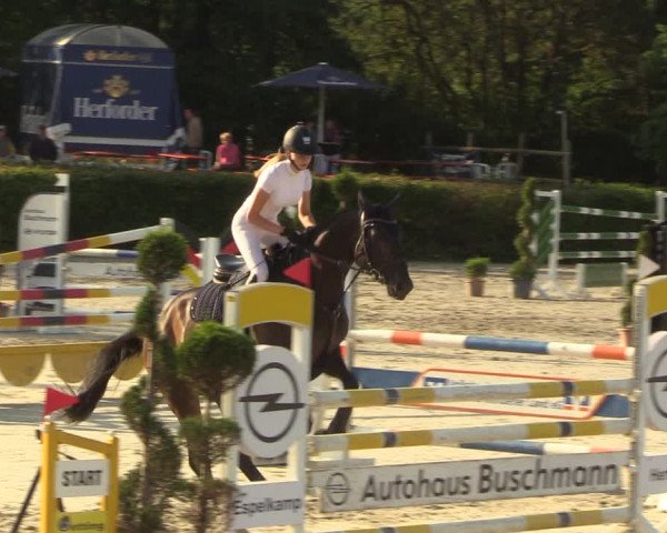 Reitturnier Vlotho-Exter 2022