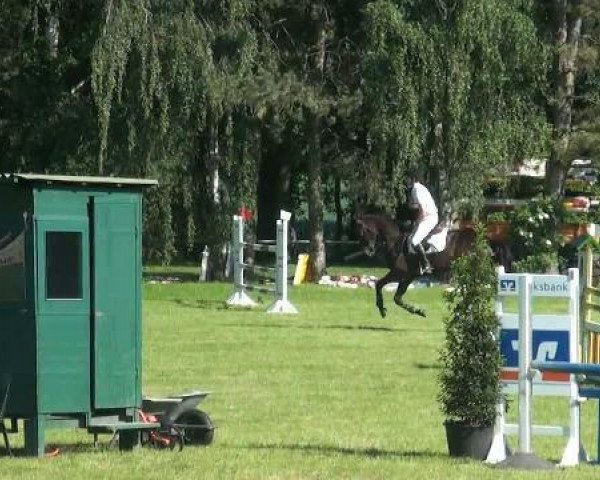 jumper Graf Reinette (Hanoverian, 2007, from Grafenstolz)