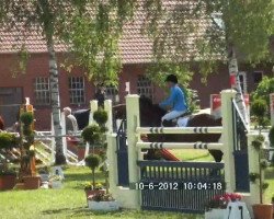 jumper Chipping Amsterdam (Oldenburg show jumper, 2005, from Colander)