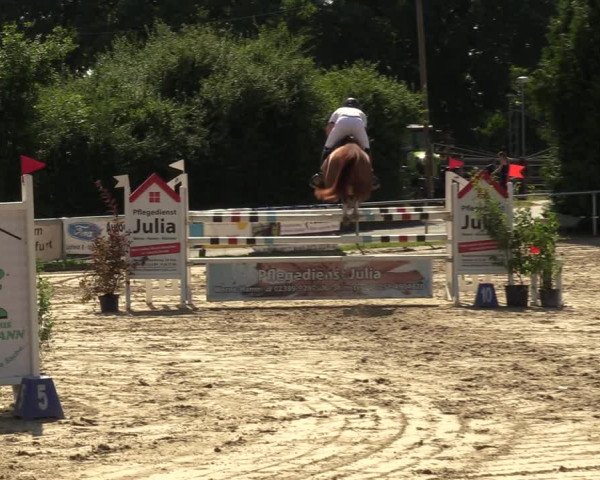 Reitturnier Herbern 2022