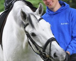 dressage horse Sir Bernhard RS v.d. Wintermühle (Oldenburg, 2002, from Sunny-Boy)