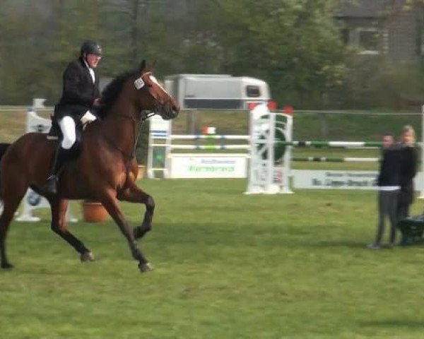 jumper Manitari (KWPN (Royal Dutch Sporthorse), 2003, from Mermus R)