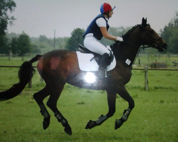 broodmare Waldgirl (Saxony-Anhaltiner, 1993, from Waldstar xx)