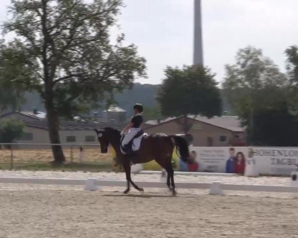 Reitturnier Rot am See- Musdorf 2022