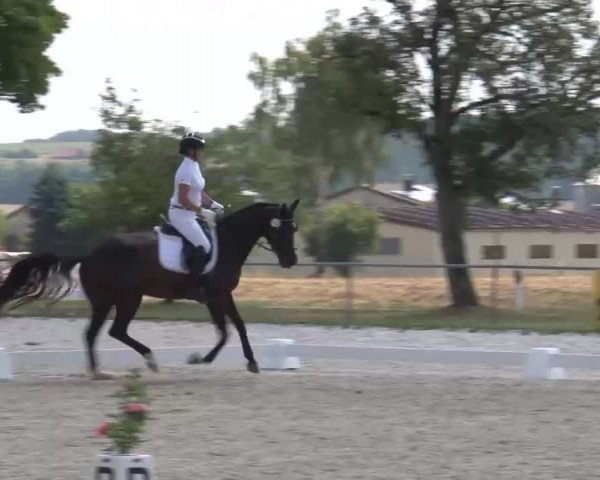Reitturnier Rot am See- Musdorf 2022