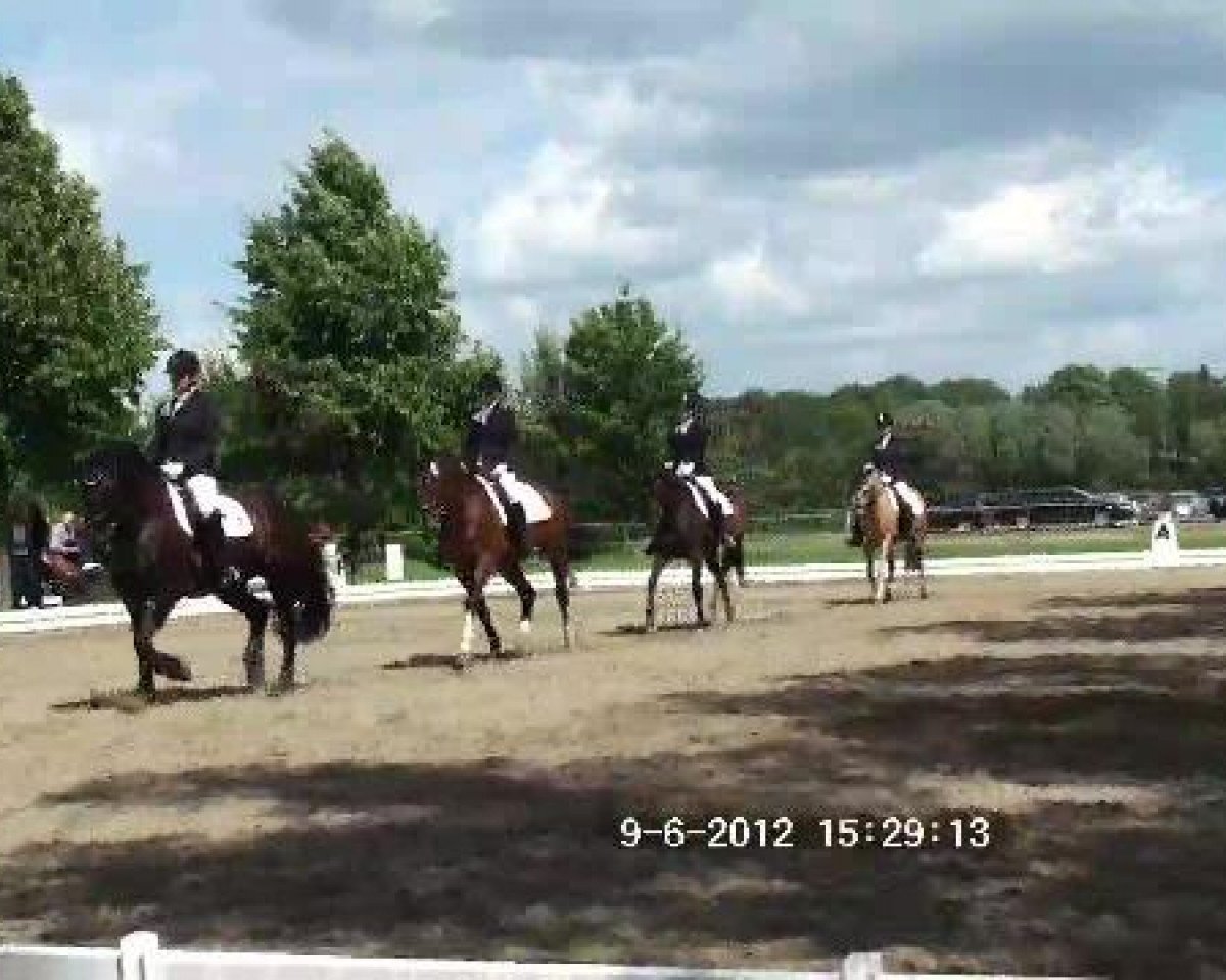 broodmare Jara (German Riding Pony, 1988, from Brillant)
