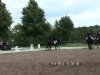 dressage horse Woodside's Ashby (Hanoverian, 2003, from Worldly I)