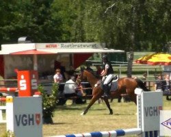 jumper Glamorous M (Hanoverian, 2004, from Graf Top)