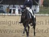 dressage horse Ferdinand F 2 (Westphalian, 1999, from Florestan I)