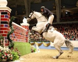 jumper Depardieu van T Kiezelhof (Belgian Warmblood, 2003, from Thunder van de Zuuthoeve)