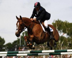 jumper Billy Angelo (KWPN (Royal Dutch Sporthorse), 2003, from Tangelo van de Zuuthoeve)