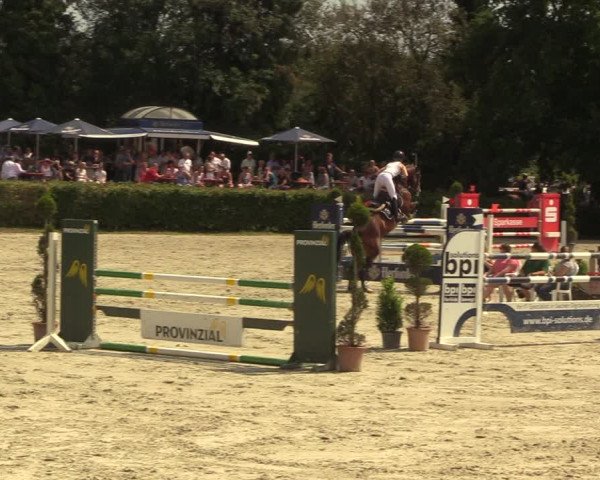 Reitturnier Vlotho-Exter 2022