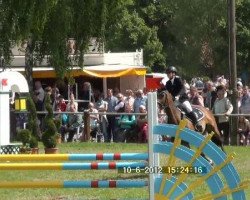 dressage horse Rosella 48 (Westphalian, 2002, from Rockwell)