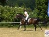 horse Darina (Hanoverian, 1999, from Drosselklang II)