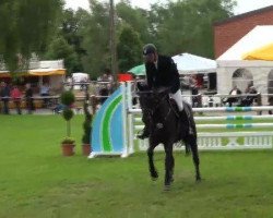 Springpferd Idream (Lettisches Warmblut, 2007, von Irasir)