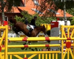 Springpferd Lucky Luciano 26 (Hannoveraner, 2002, von Le Primeur)