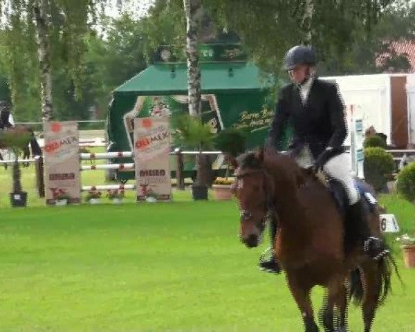 jumper Lüttke Vroni (Hanoverian, 2007, from Vulkano 10)