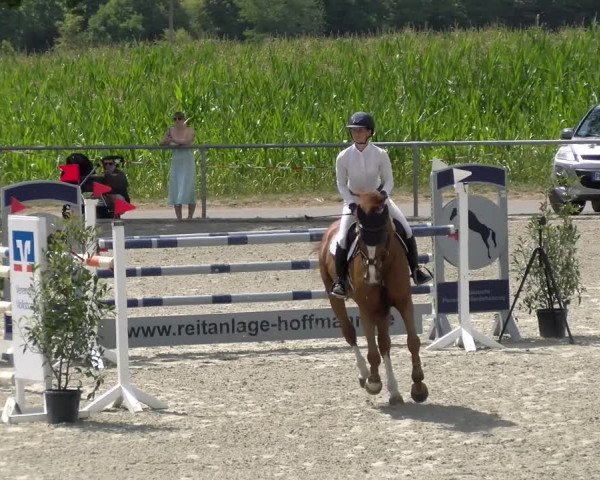 Reitturnier Ehningen 2022