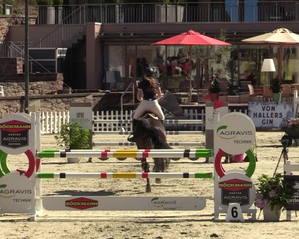 Reitturnier Nörten-Hardenberg 2022