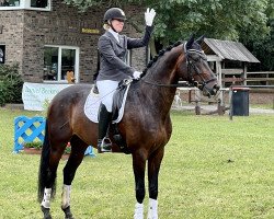 dressage horse Leroy Percy (KWPN (Royal Dutch Sporthorse), 2016, from Glock's Dream Boy)