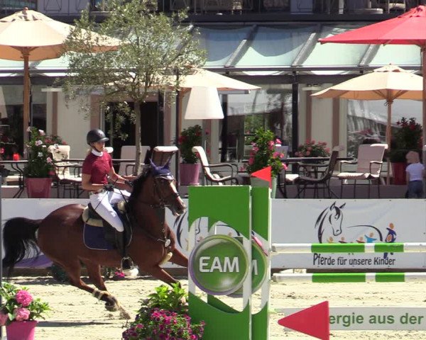 Reitturnier Nörten-Hardenberg 2022