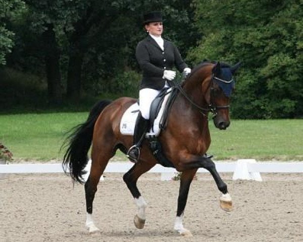dressage horse Flick Flack 16 (Rhinelander, 1997, from Fidermark)