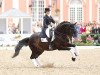 dressage horse Habitus 10 (Hanoverian, 1997, from Hohenstein I)