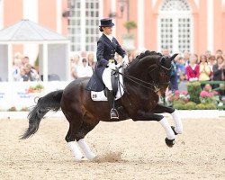 dressage horse Habitus 10 (Hanoverian, 1997, from Hohenstein I)