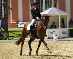 horse Flamenco Girl (Hanoverian, 2003, from Fielmann)