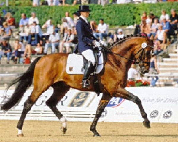 stallion Alassio (Württemberger, 1996, from Alabaster)