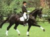 stallion Donnerschwee (Oldenburg, 1988, from Donnerhall)