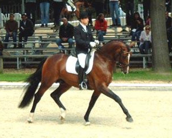 dressage horse Aljour 2 (Holsteiner, 2002, from Aljano)