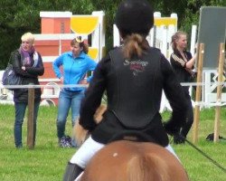 horse Balko (Shetland Pony, 2003, from Bristel v. d. Geest)