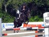 jumper Steverheides Dondrup (German Riding Pony, 2001, from Donnerblitz)