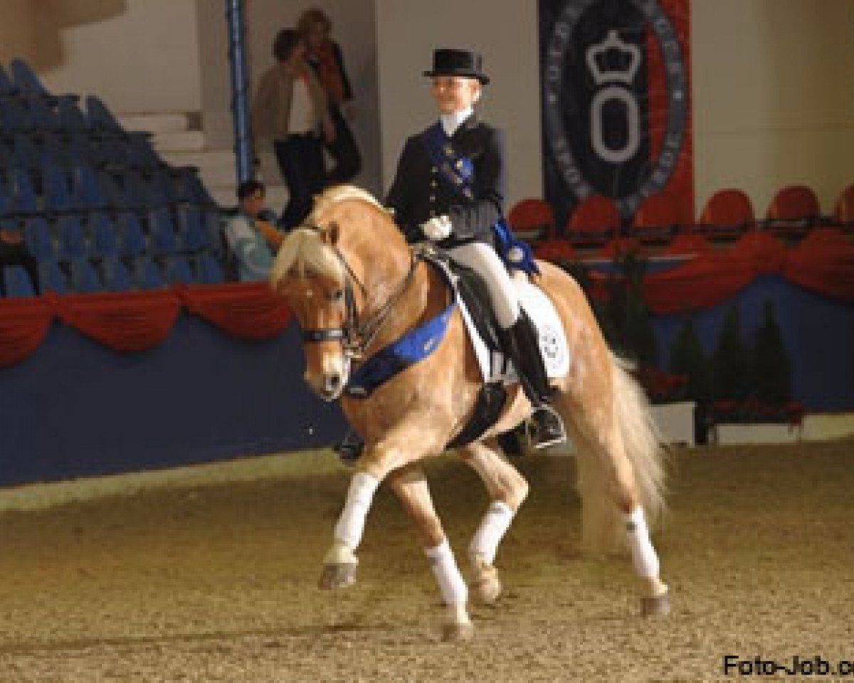 Deckhengst Nebos I (3,125% ox) (Edelbluthaflinger, 1995, von Nastral)