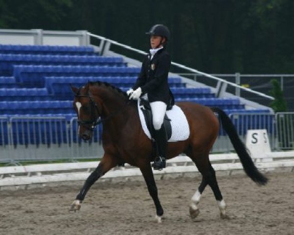 stallion Scampolo (German Riding Pony, 1998, from Welcome Sympatico)
