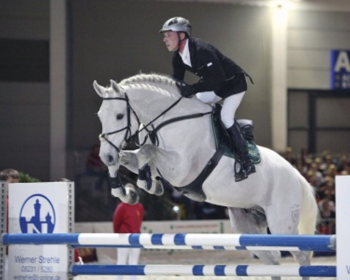 stallion Coronino (Holsteiner, 1995, from Corofino I)