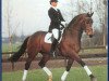 Deckhengst Dublin (Koninklijk Warmbloed Paardenstamboek Nederland (KWPN), 1985, von Ulft)