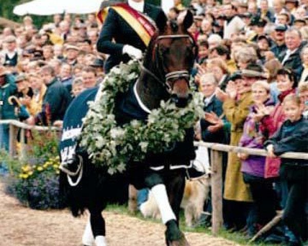 Pferd Lord Sinclair I (Bayer, 1994, von Lanciano)