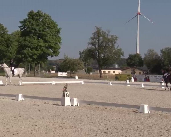 Reitturnier Rot am See- Musdorf 2022