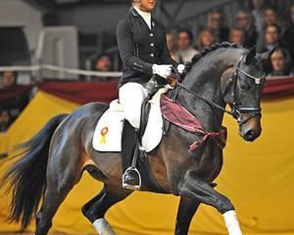 stallion Fürst Gutenberg (Bavarian, 2008, from Florestano)
