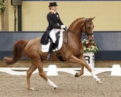 dressage horse Miciano (Westphalian, 2001, from Medici)