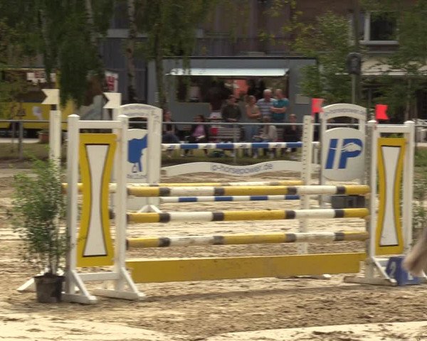 Reitturnier Herbern 2022